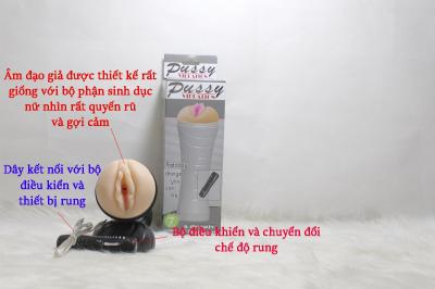 Âm đạo giả Huyện Phúc Thọ