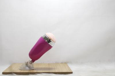 Âm đạo giả Huyện Quốc Oai