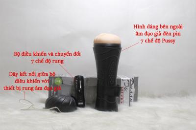 Âm đạo giả Lai Châu