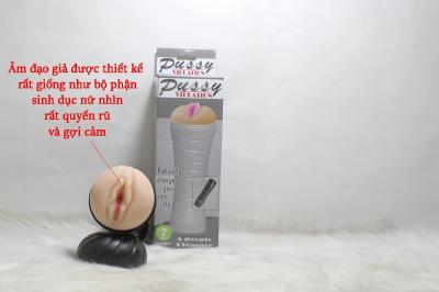 Âm đạo giả Quận 12