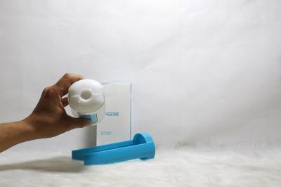 Âm đạo giả Quận Hai Bà Trưng