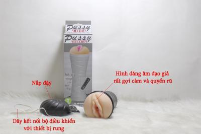 Âm đạo giả Quận Hoàn Kiếm