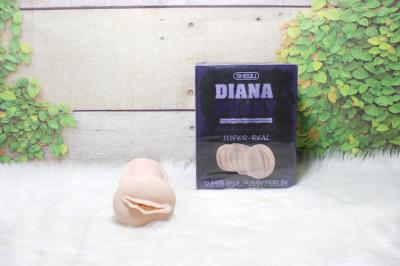 Âm đạo giả Quận Tân Phú