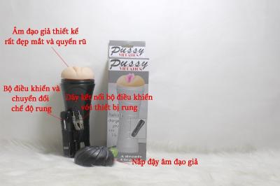 Âm đạo giả Quận Thanh Xuân