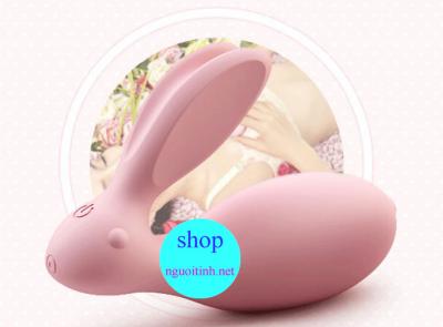 Trứng rung tình yêu có độc hại không?